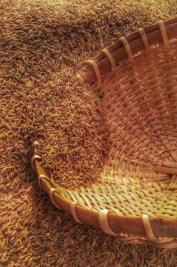 agrilcutural grain moisture sensors