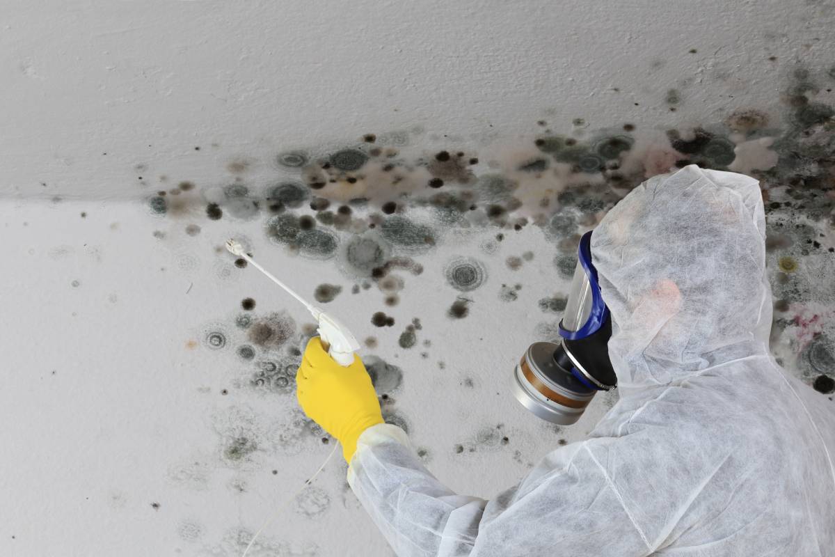 Avoid Mould by Monitoring Humidity and Temperature Monitoring Humidity and Temperature